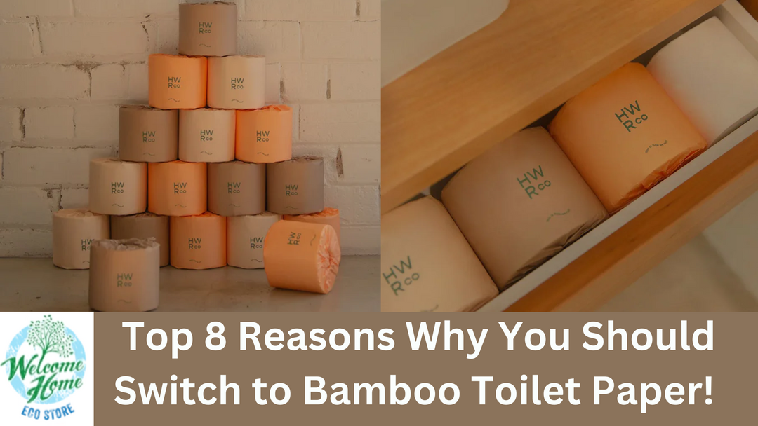 Bamboo toilet paper is an incredibly hypoallergenic option when looking forward to switching to sustainability and eco-friendly living. Explore Top 8 Reasons why You should Switch to Bamboo Toilet Paper! 